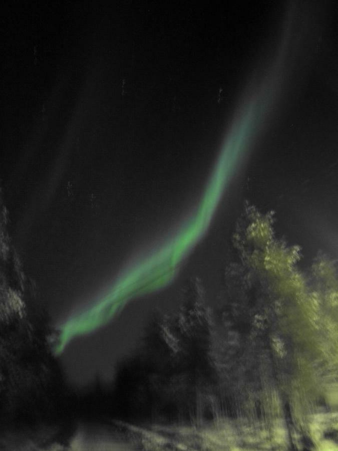 Aurora Apartment Inari Dış mekan fotoğraf